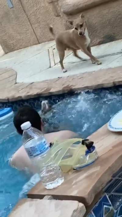 Bark and bath