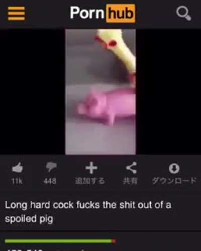 That's enough internet for today