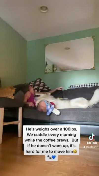 Aggressive cuddling. It’s a thing ?