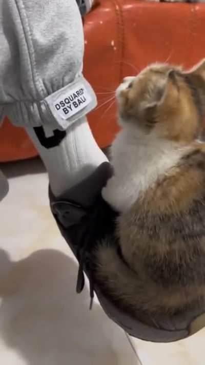 One shoe each ?