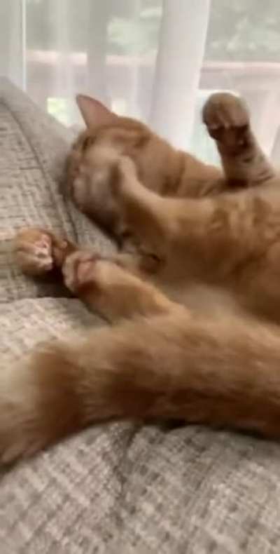 Maybe maybe maybe