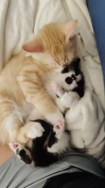 So Precious ♥️