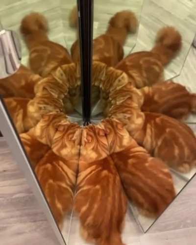 Infinite Tap Dimension