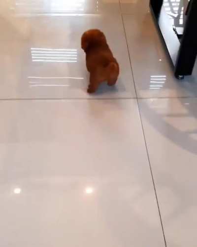 I like to run ?!!