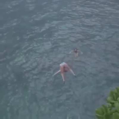 HMB while I do a perfect swan dive.