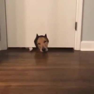 "Uhhh... excuse me..."
