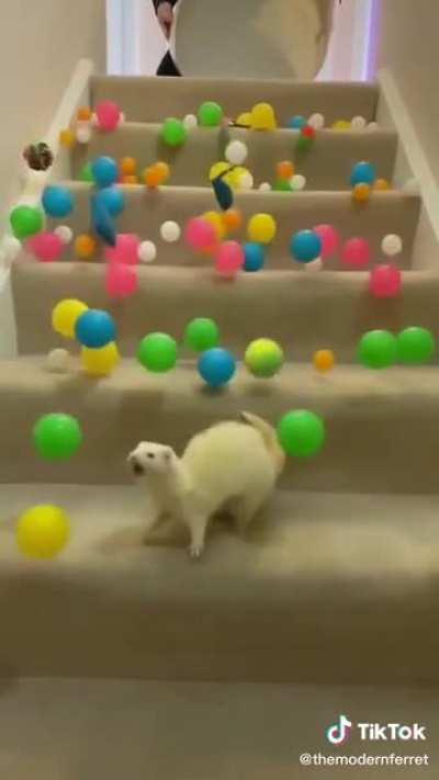 DeAf FeRrEt GeTs CrUsHeD uNdEr FaLlIng RoCkS!!!11!!
