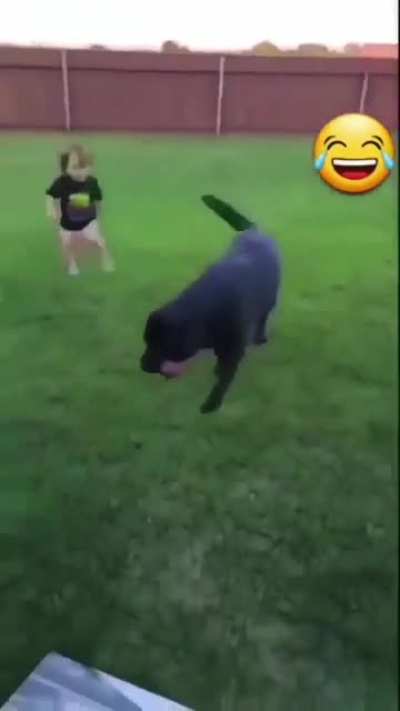 Good boy