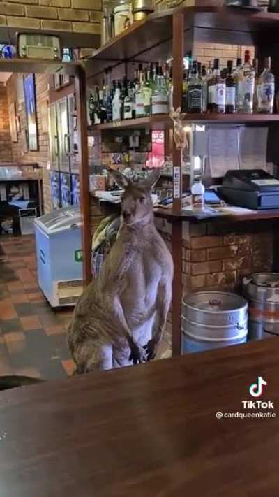 What Americans think Australia is like.