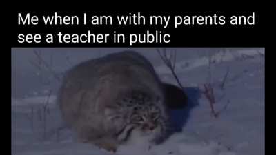 Sorry didn't see you there