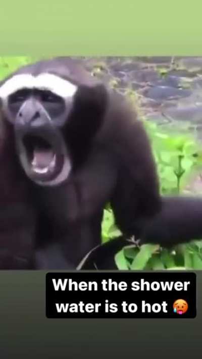 When the shower water is too hot ?
