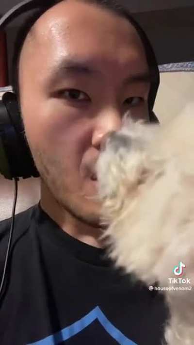 A Man’s Best Friend