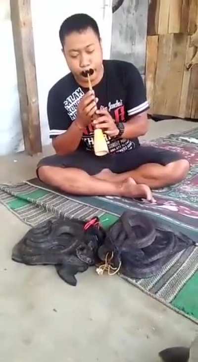 Snake charmer