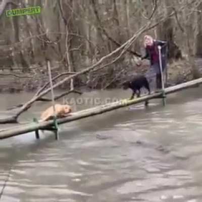 Friend in need