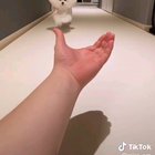Star shaped happiness