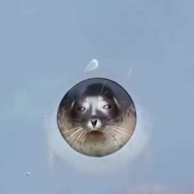 ? Perfect watertight seal