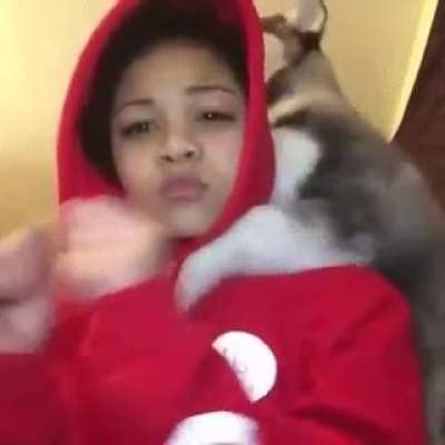 The best reverse gif I've ever seen