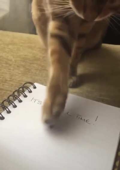 Maybe maybe maybe