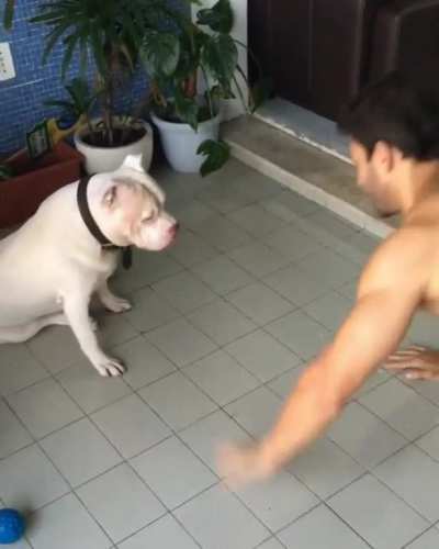 Workout bros