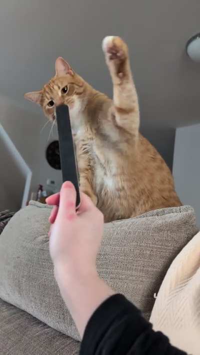 Sam vs the nail board ?