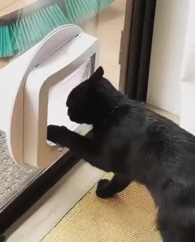 It's not working you stupid human