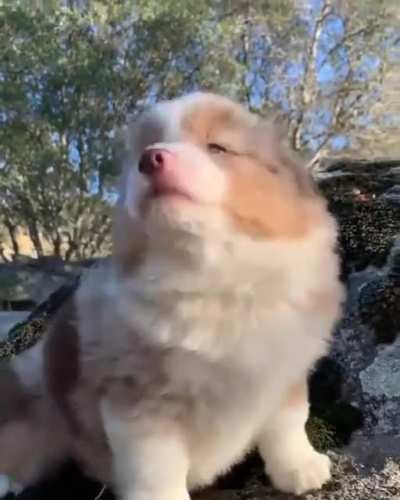 So primally cute