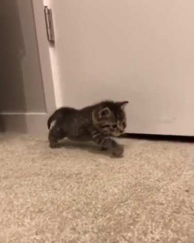 The littlest attack