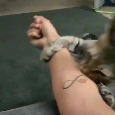 ???