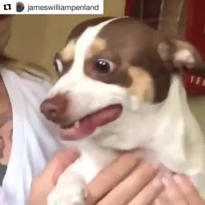 I love misterbubz