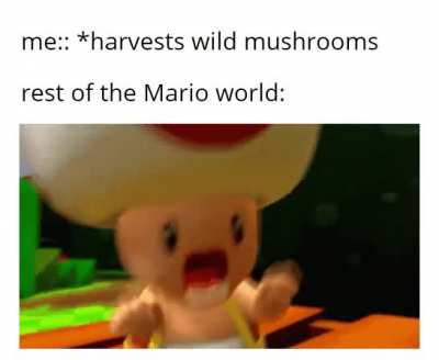 Just a normal day harvesting mushrooms