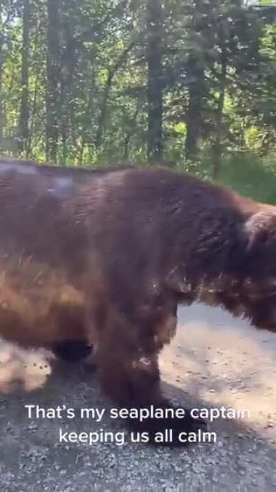 "Hey Bear!" Big Grizzly Encounter.