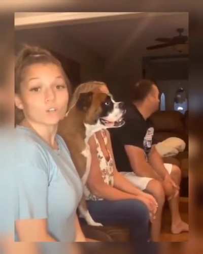 mom has no lyrics dog has lyrics ?