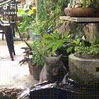 Cat.exe got stuck