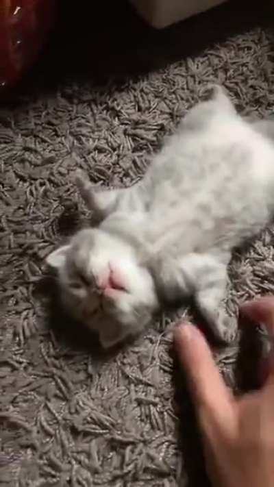 Dead or alive??