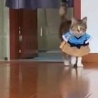 Catwalk