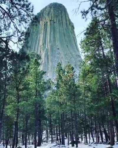 ? Devil’s Tower, Wyoming