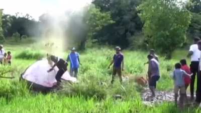 Death elephant explodes