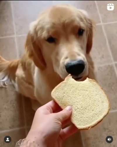 Just a little bite