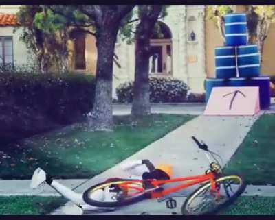 The new generation of jackass