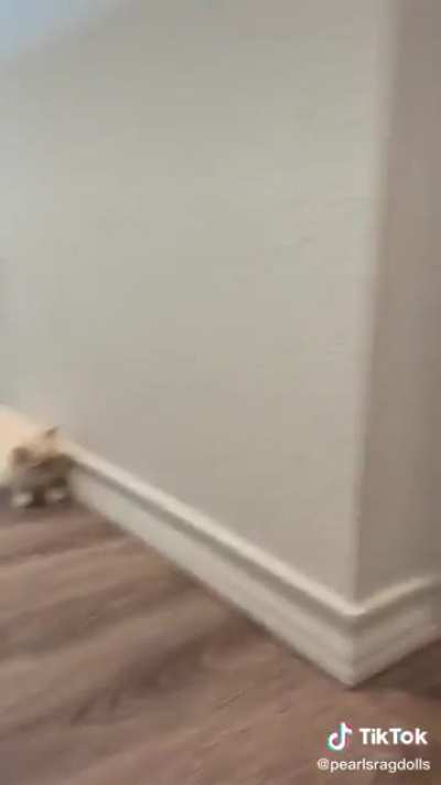 "OK so attack.... NOW! oh wait. OK NOW!"