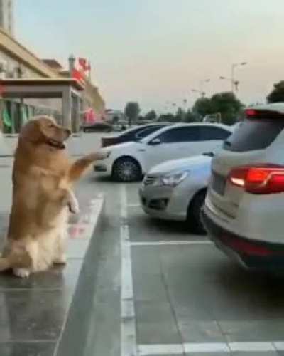 The parking sense buddy ?