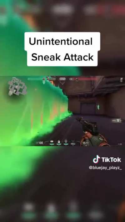 Accidental sneak attack xD