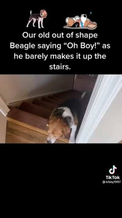 This dog is literally me after a holiday meal
