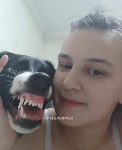 Kissing an angry dog