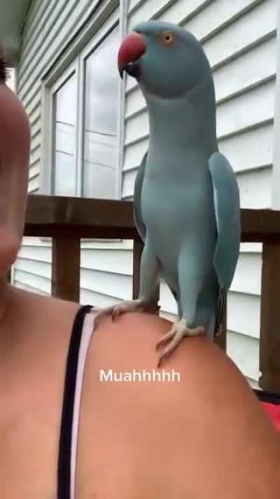 Found this on Insta ?