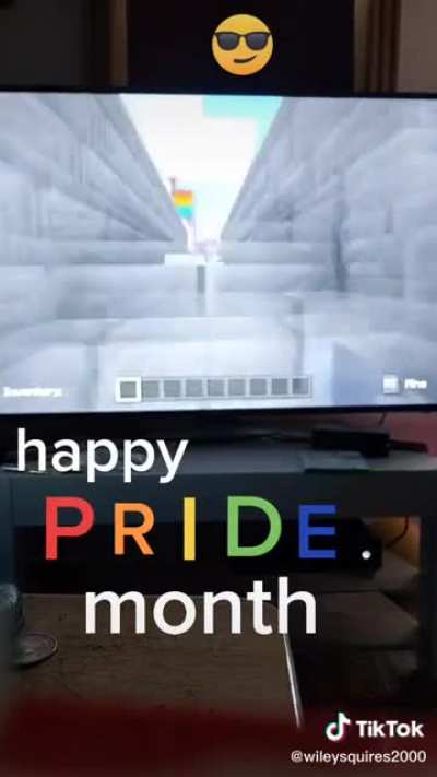 Not a cringe vid, but I find it cringe that this wholesome tiktoker is losing thousands of followers for posting a harmless pride month video
