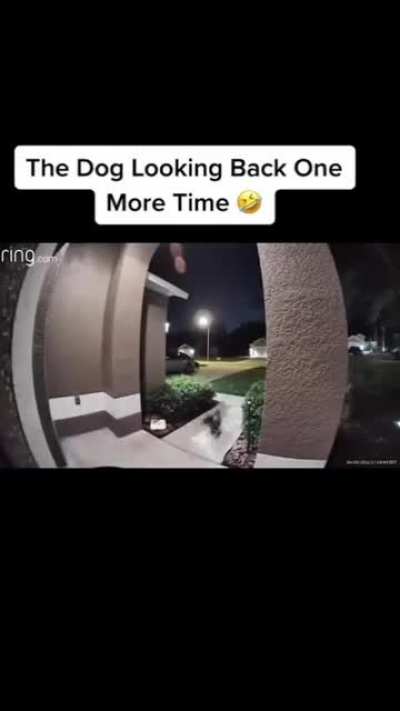 Get in the house