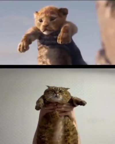 Haha