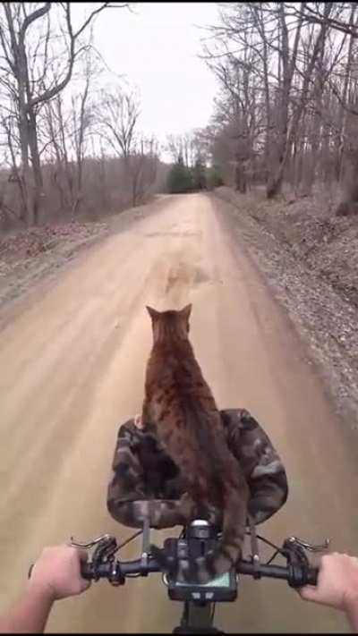 Time for a nice walk.