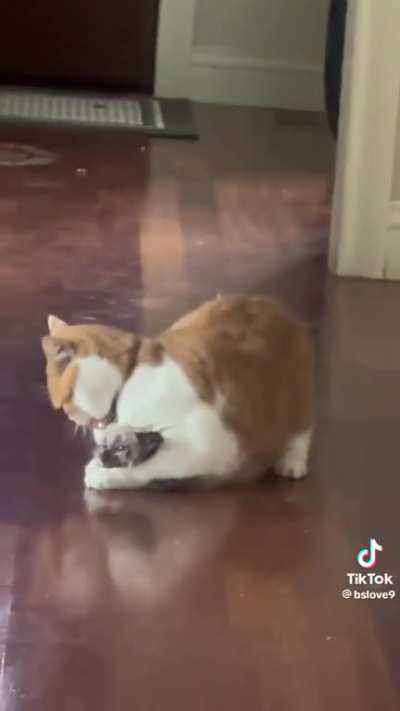 Surprise!